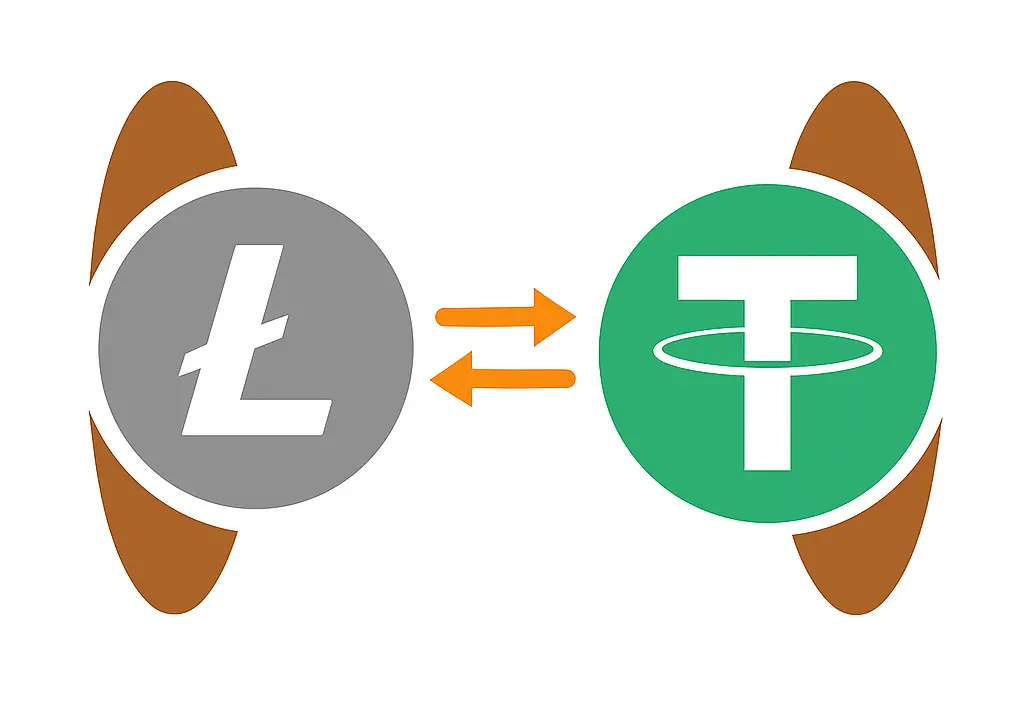 LTC to USDT Fast No KYC Crypto Exchange